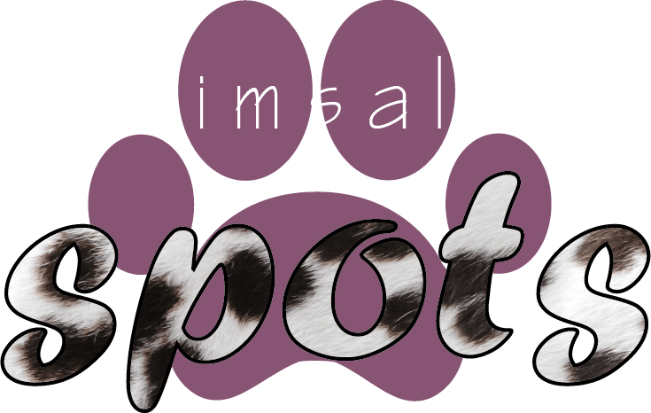 Trimsalon Spots - logo